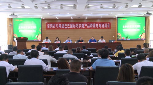 阿里巴巴 春雷计划 助力宝鸡农副产品跨境贸易